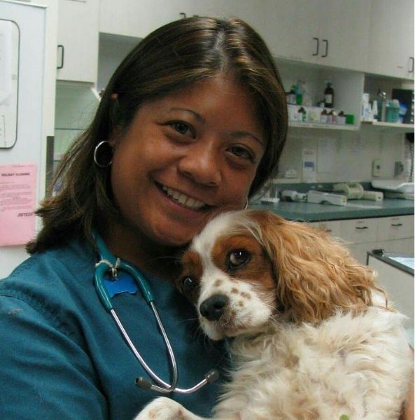 Veterinarian In San Diego | Tell Tail Veterinary Urgent Care