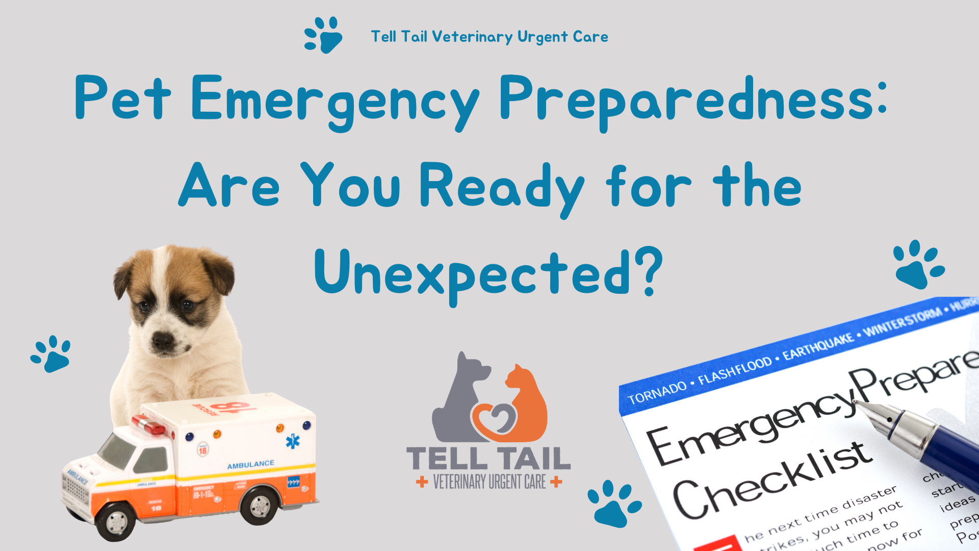 Pet Mergency Pet Emergency Preparedness: Are You Ready For The Unexpected? | Tell ...