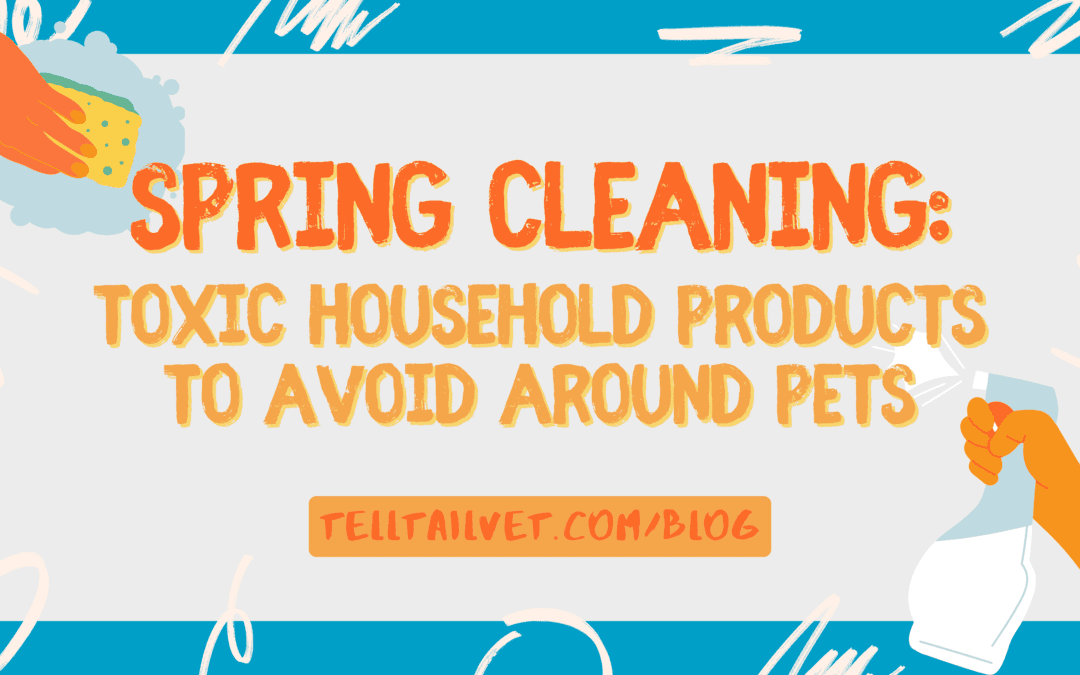 Spring Cleaning: Toxic Household Products to Avoid Around Pets