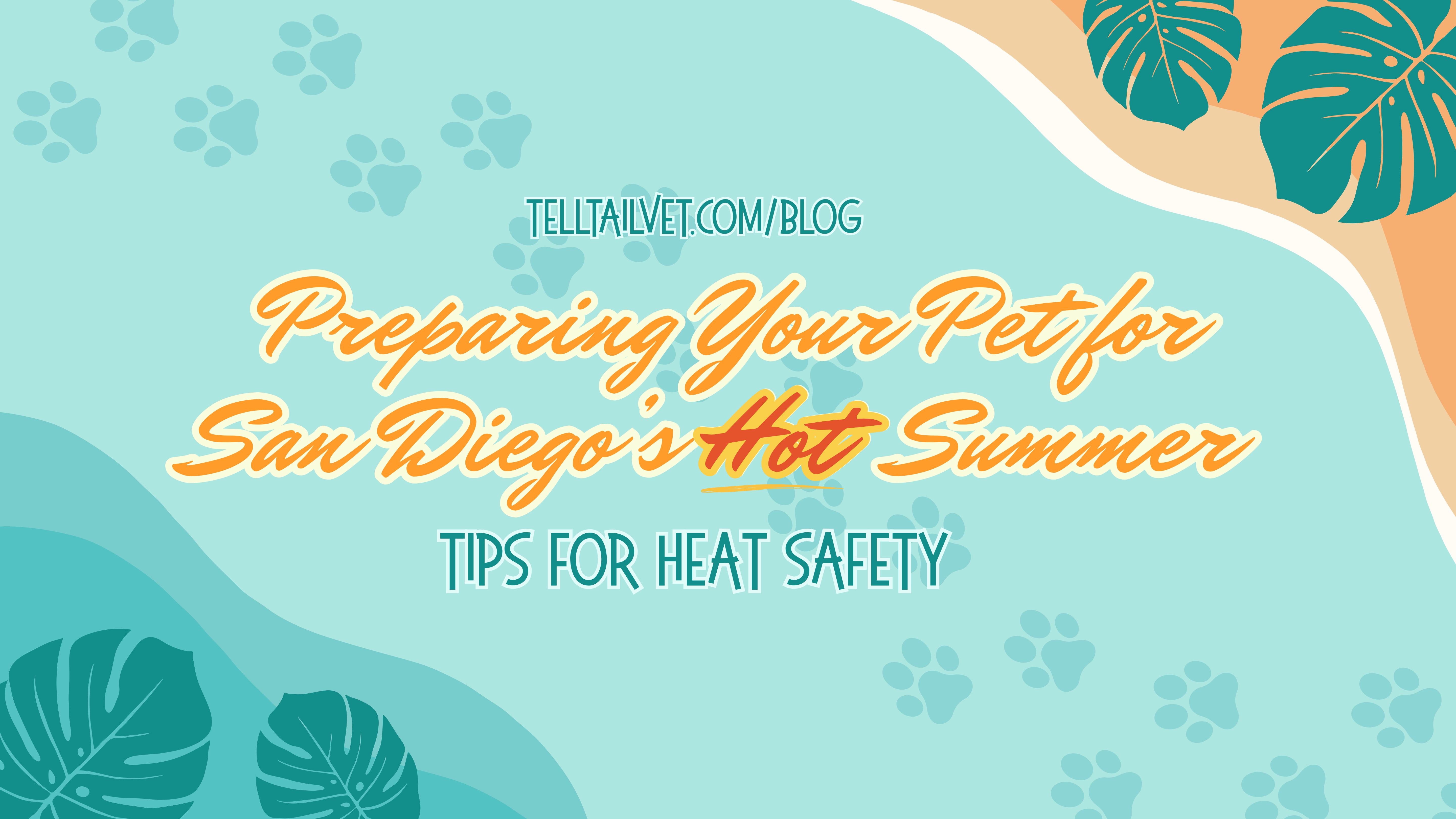 TTVUC Blog Banners 5.15.25