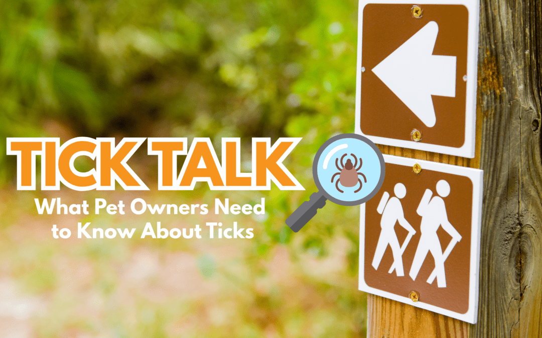 Tick Talk: What San Diego Pet Owners Need to Know About Ticks