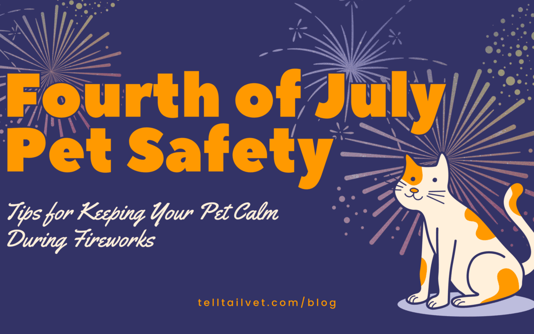 4th of July Pet Safety: Keeping Your Pet Calm During Fireworks