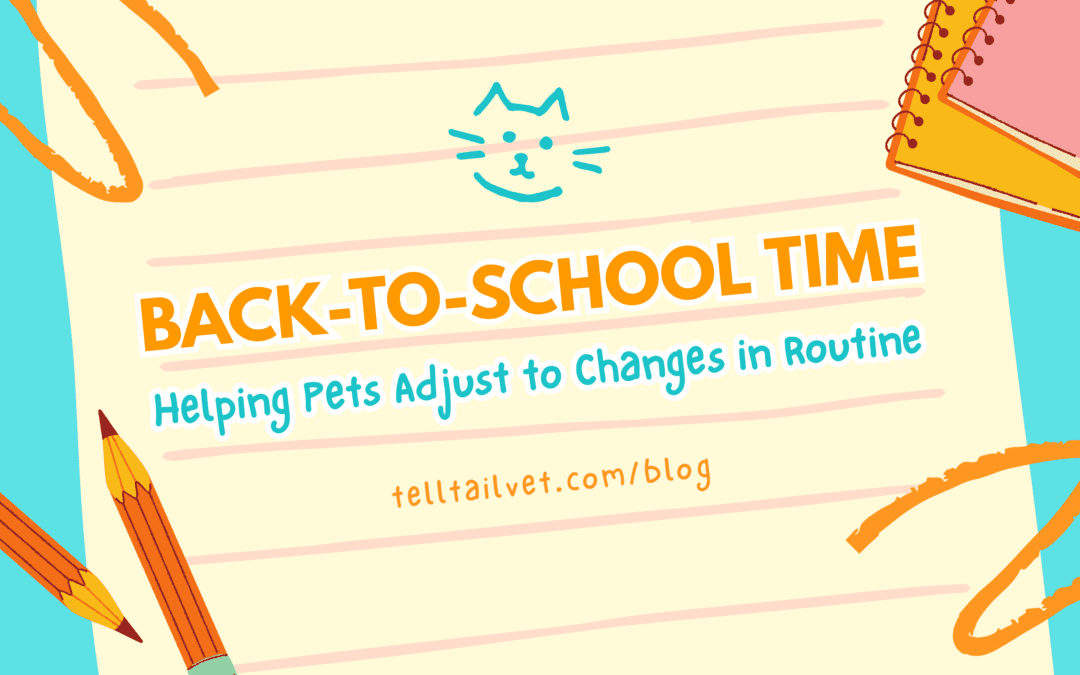 Back-to-School Time: Helping Pets Adjust to Changes in Routine
