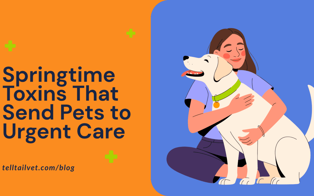 Springtime Toxins That Send Pets to Urgent Care
