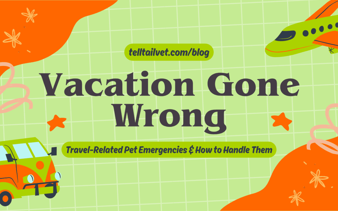 Vacation Gone Wrong: Travel-Related Pet Emergencies and How to Handle Them